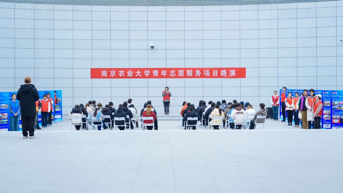 項目路演區